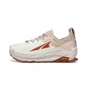 Altra OLYMPUS 5 メンズ トレイルランニングシューズ ブラウン | Japan AL4185A26