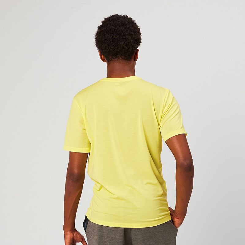 Altra EVERYDAY PERFORMANCE SHORT SLEEVE メンズ Tシャツ 黄色 | Japan AL6314G60