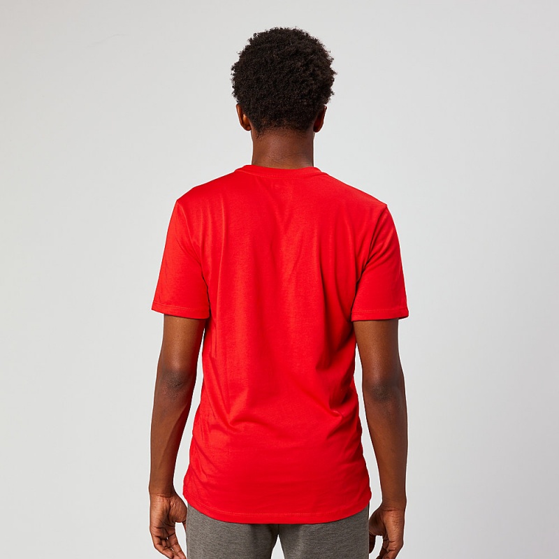 Altra EVERYDAY RECYCLED TEE メンズ Tシャツ 赤 | Japan AL8109A50