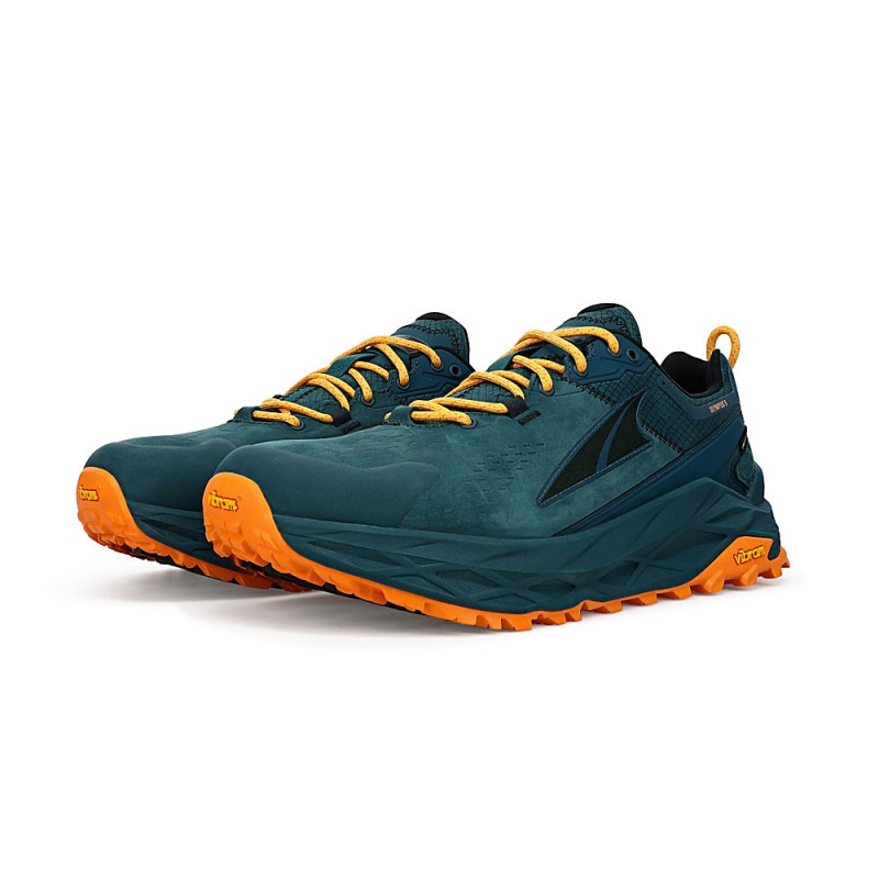 Altra OLYMPUS 5 HIKE LOW GTX メンズ ハイキングシューズ 深い緑 | Japan AL2694A04