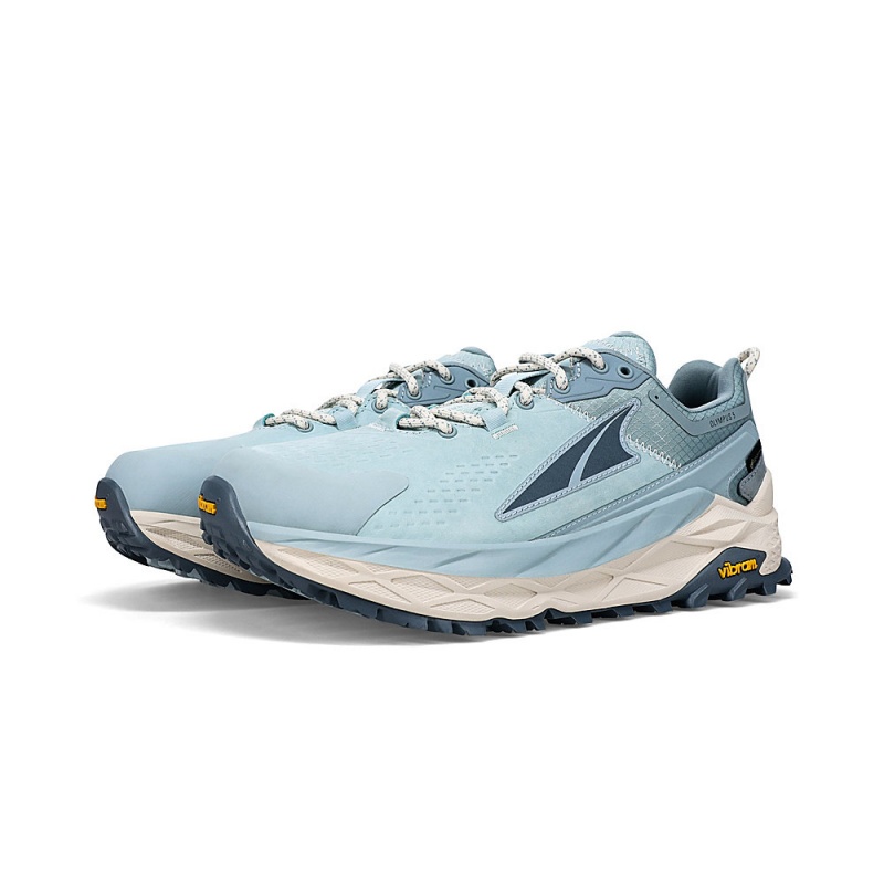 Altra OLYMPUS 5 HIKE LOW GTX レディース トレイルランニングシューズ 青 | Japan AL1084L02